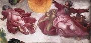 Michelangelo Buonarroti Creation of the Sun, Moon, and Plants France oil painting artist